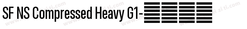 SF NS Compressed Heavy G1字体转换